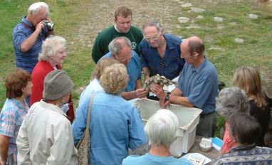 Moth meeting at Rospannel Farm